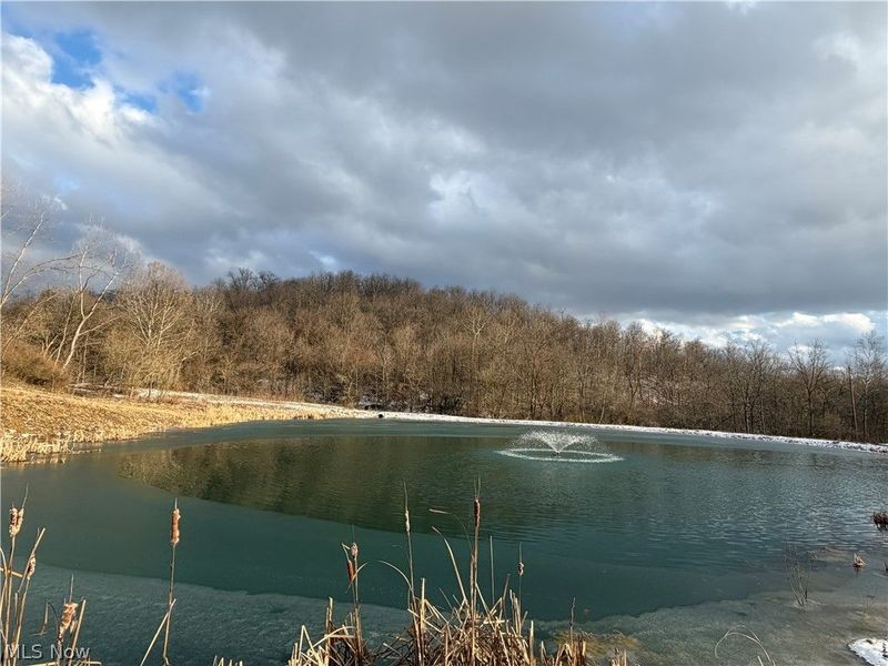 49497 Great Lake Road, Saint Clairsville, OH 43950 Photo 35