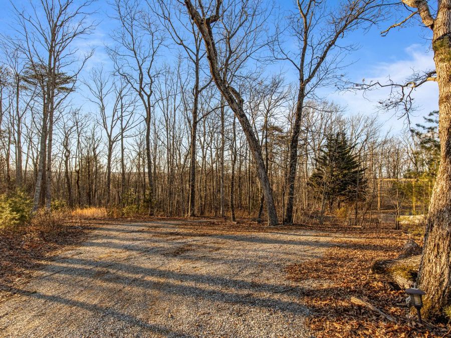 Property Image 97