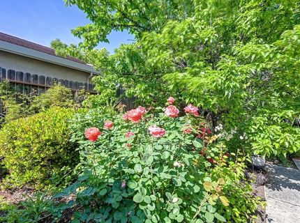 3729 Coldwater Dr, Rocklin, CA 95765 Photo