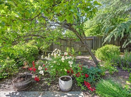 3729 Coldwater Dr, Rocklin, CA 95765 Photo