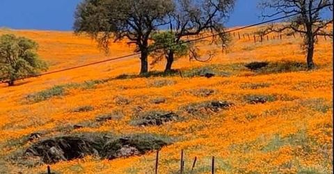 Electra Rd., Jackson, CA 95642 Photo