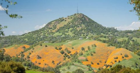 Electra Rd., Jackson, CA 95642 Photo