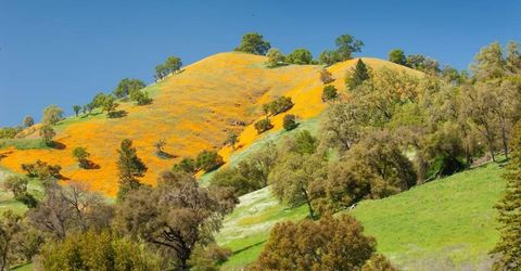 Electra Rd., Jackson, CA 95642 Photo