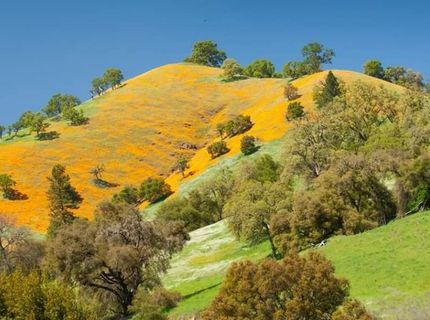 Electra Rd., Jackson, CA 95642 Photo