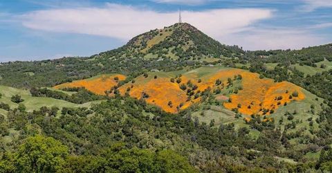 Electra Rd., Jackson, CA 95642 Photo