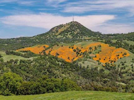 Electra Rd., Jackson, CA 95642 Photo