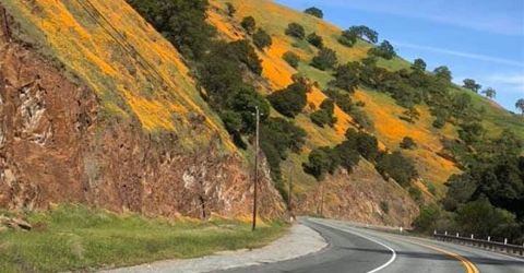 Electra Rd., Jackson, CA 95642 Photo