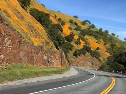 Electra Rd., Jackson, CA 95642 Photo