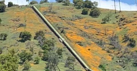 Electra Rd., Jackson, CA 95642 Photo