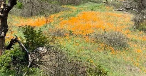 Electra Rd., Jackson, CA 95642 Photo