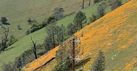 Electra Rd., Jackson, CA 95642 Photo