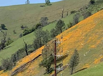 Electra Rd., Jackson, CA 95642 Photo