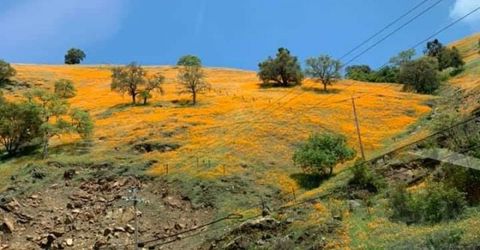 Electra Rd., Jackson, CA 95642 Photo