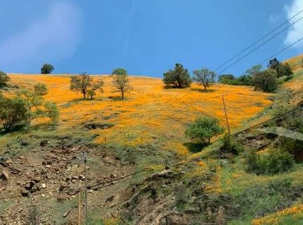 Electra Rd., Jackson, CA 95642 Photo