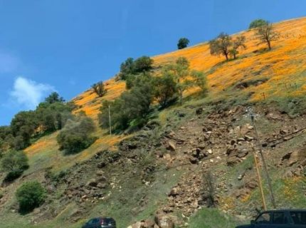 Electra Rd., Jackson, CA 95642 Photo