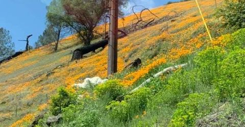 Electra Rd., Jackson, CA 95642 Photo