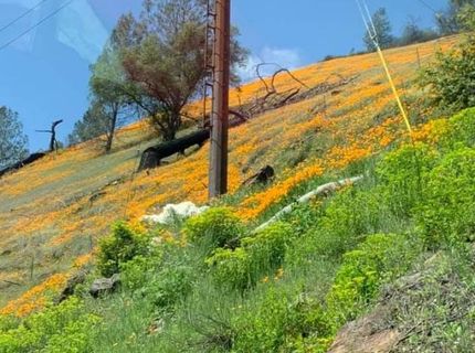 Electra Rd., Jackson, CA 95642 Photo