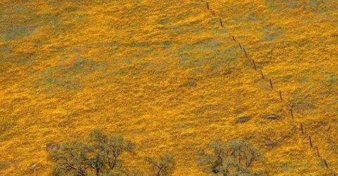 Electra Rd., Jackson, CA 95642 Photo