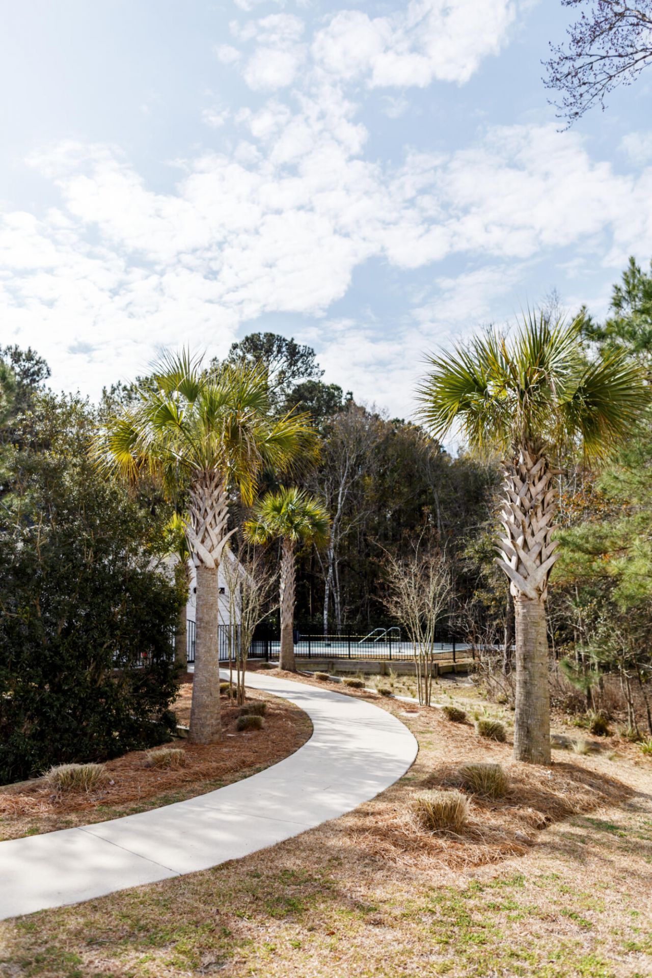 2449 Giles Lane Photo 49