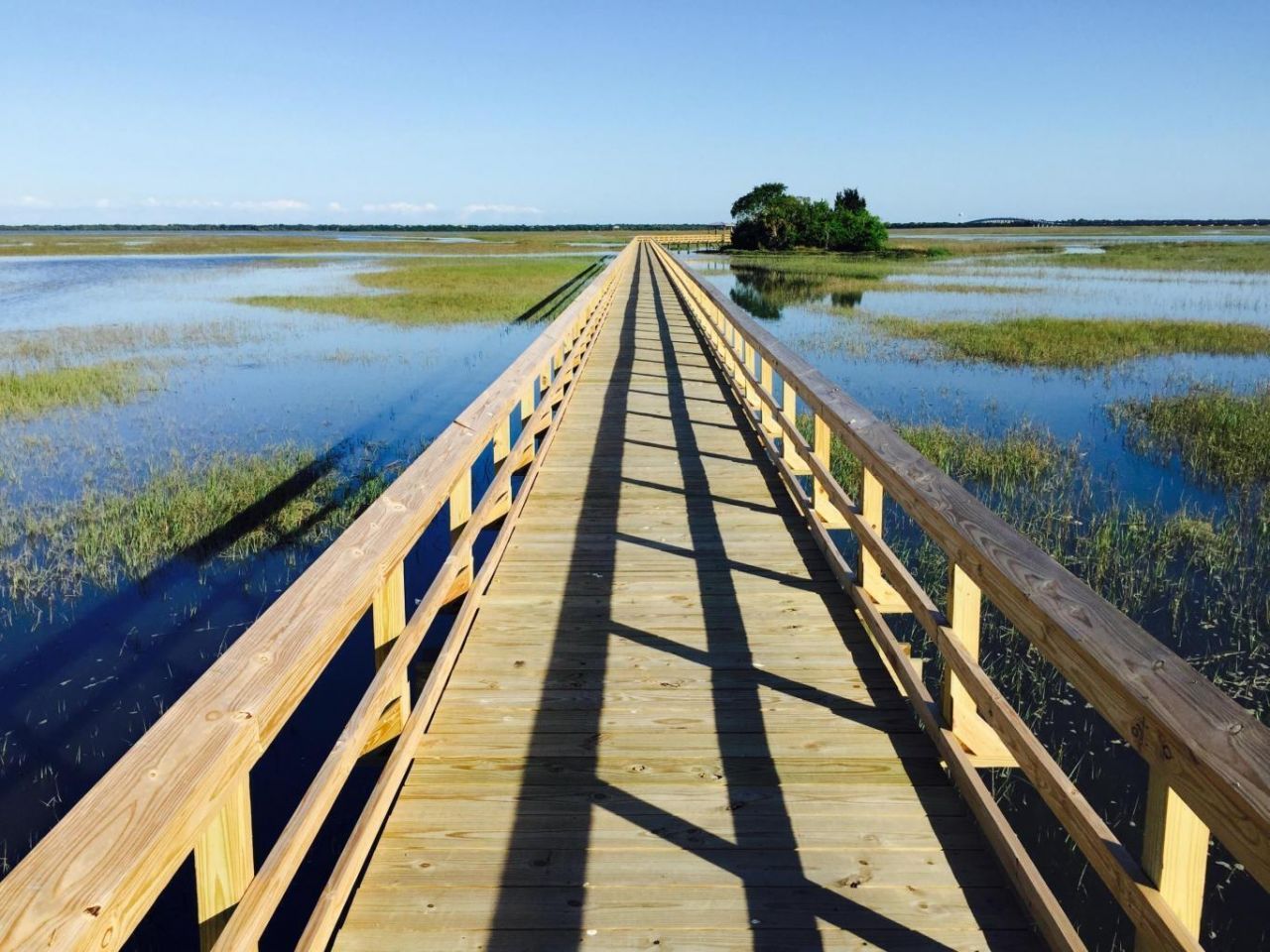 1621 Prince Edward Street Photo 59