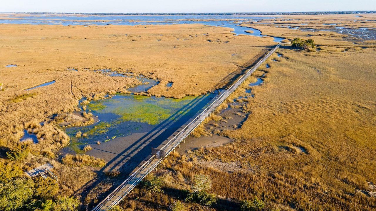 1621 Prince Edward Street Photo 63