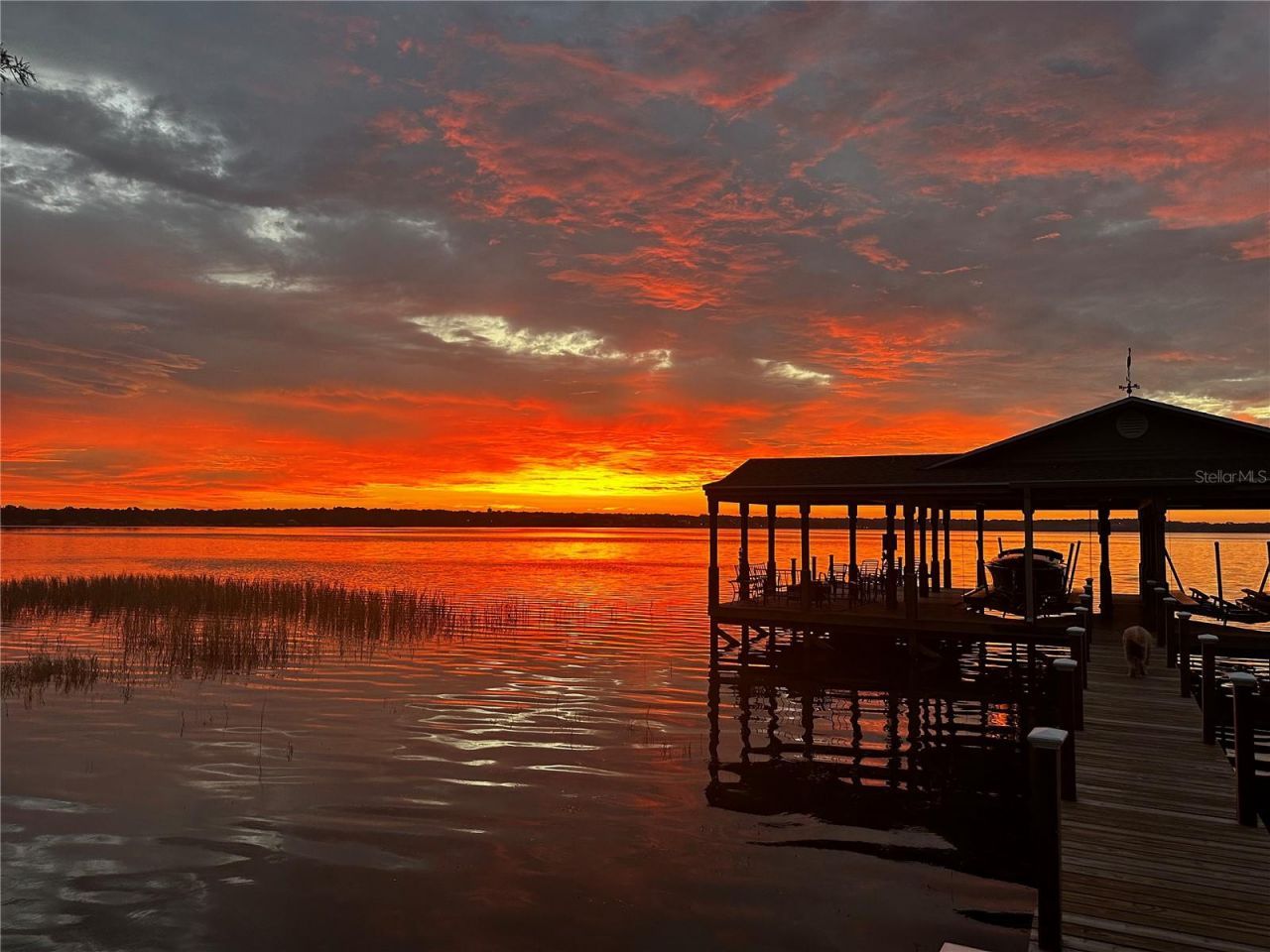 3111 Lakeshore Drive, Mount Dora, FL 32757 Photo