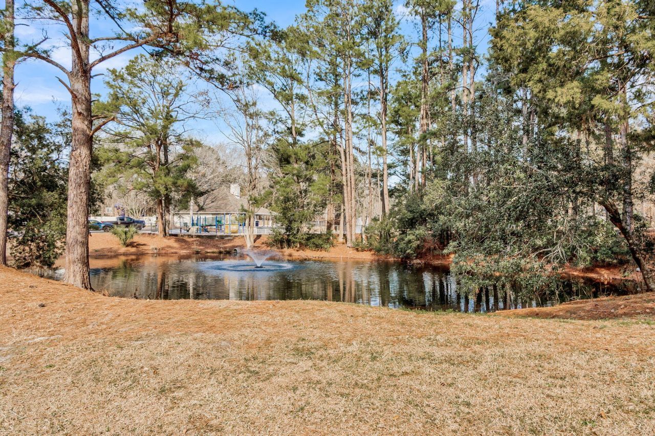 4779 Skillmaster Court Photo 19