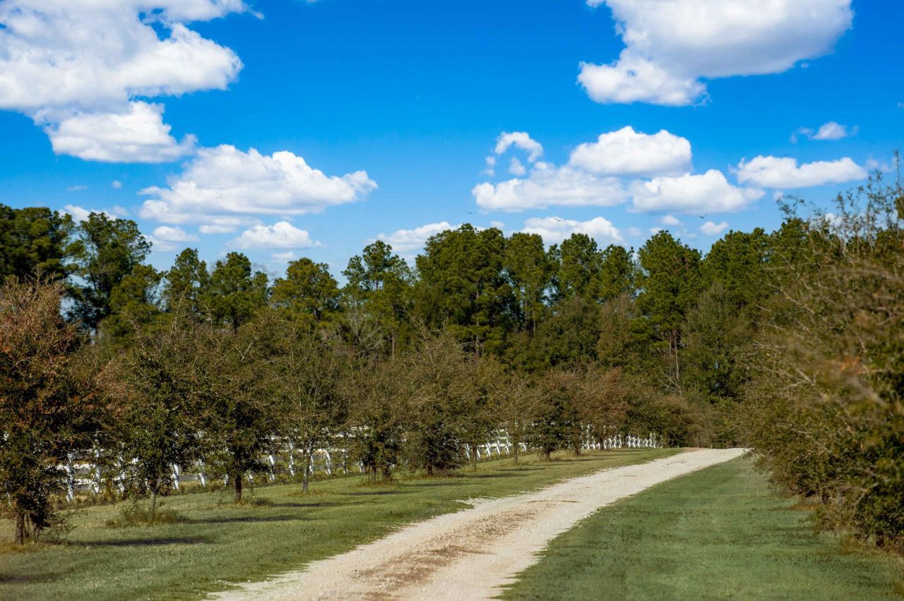 7356 Johnson Shortcut Road Photo 8