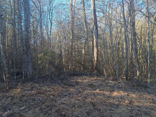 0 Bent Wood Lane, Blue Ridge, GA 30513
