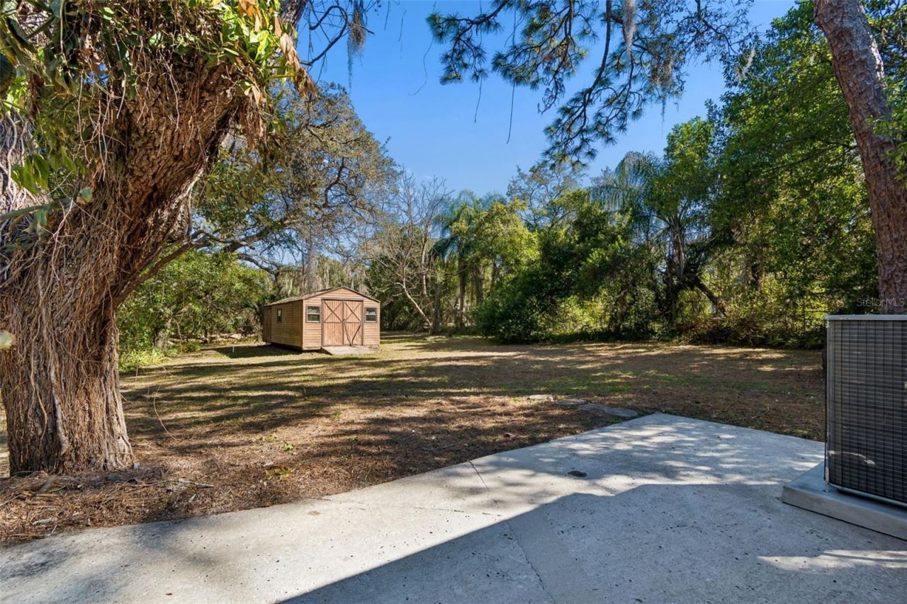 12105 N 53rd Street, Temple Terrace, FL 33617 Photo