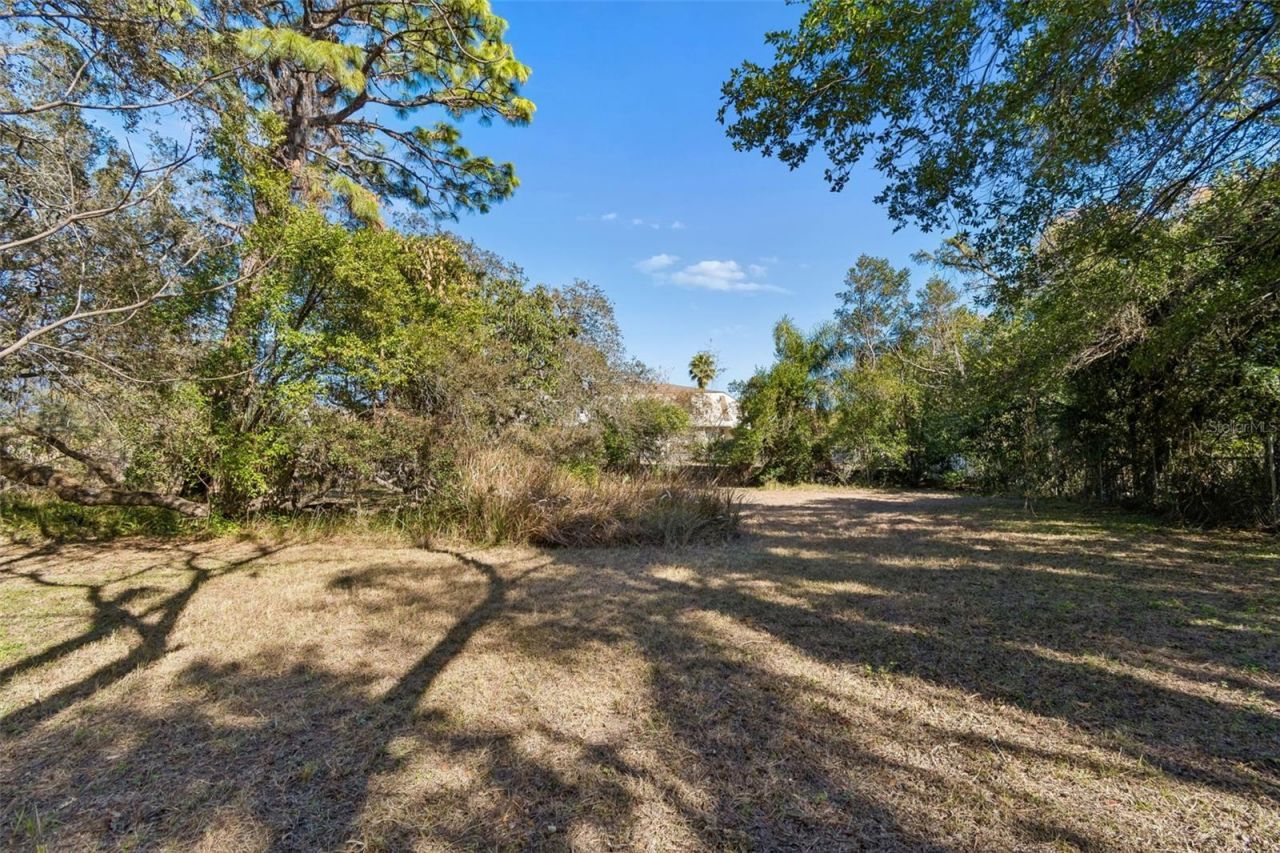 12105 N 53rd Street, Temple Terrace, FL 33617 Photo