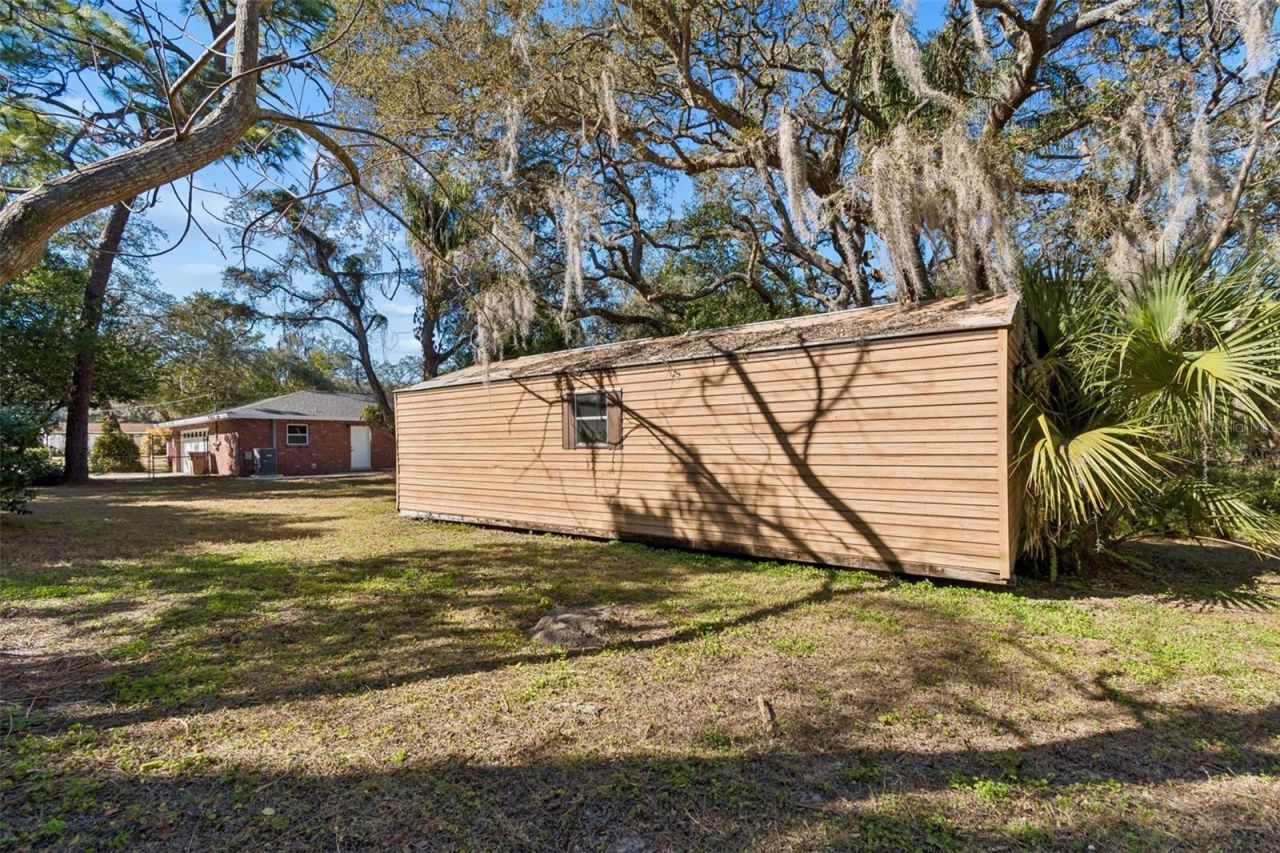 12105 N 53rd Street, Temple Terrace, FL 33617 Photo