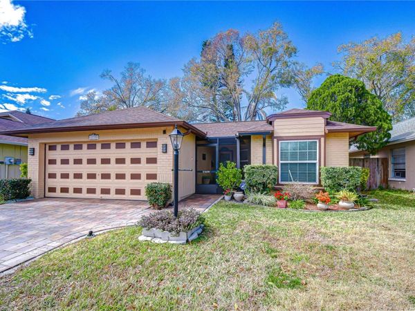 12722 DUNHILL DRIVE, TAMPA, FL 33624