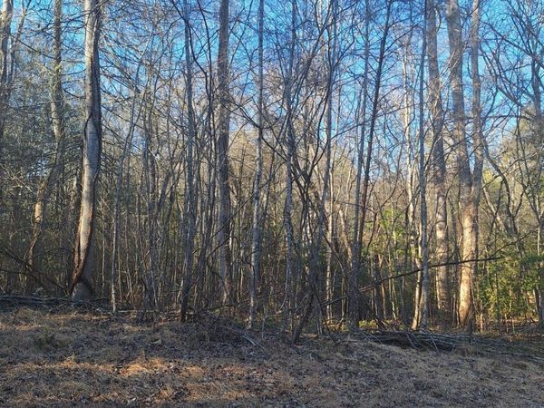 LOTS 15A 16A 17 Mill Creek Acres Lane, Blue Ridge, GA 30513