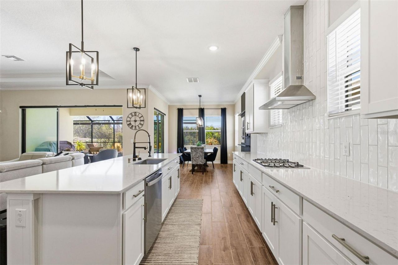 21251 Snowy Orchid Terrace, Land O Lakes, FL 34637 Photo