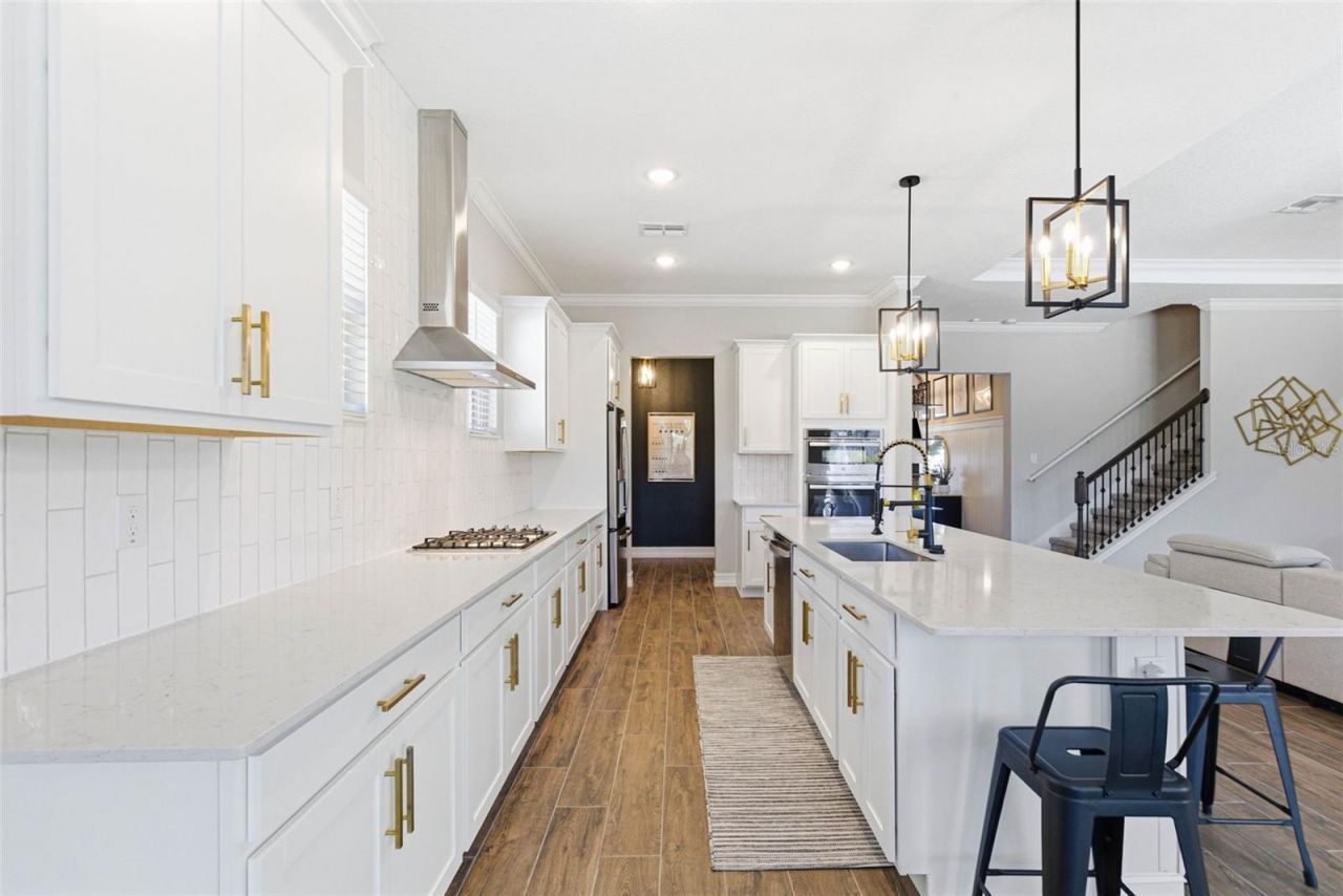 21251 Snowy Orchid Terrace, Land O Lakes, FL 34637 Photo