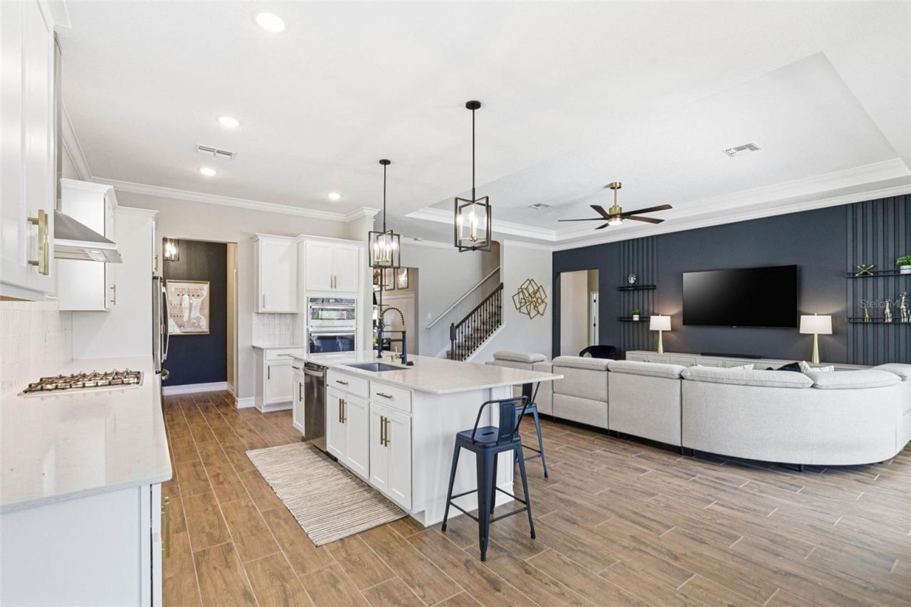 21251 Snowy Orchid Terrace, Land O Lakes, FL 34637 Photo