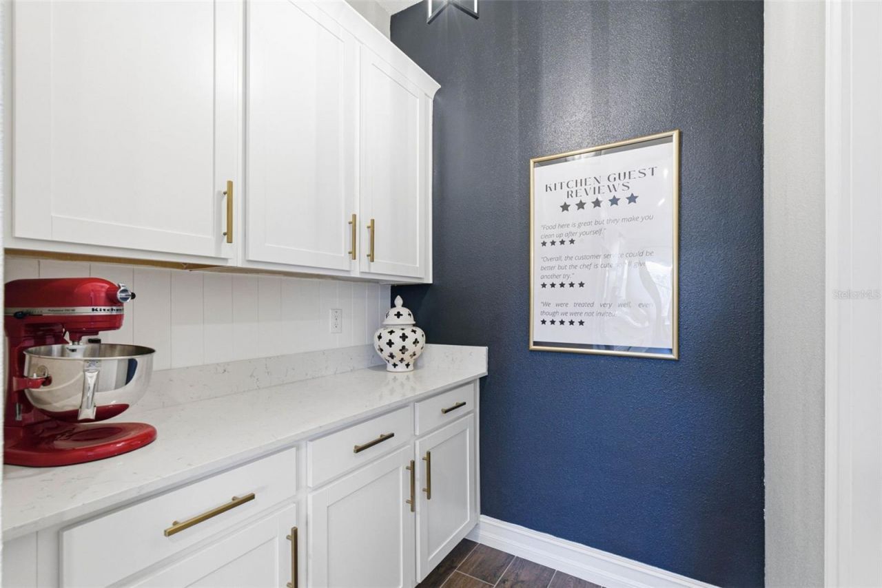 21251 Snowy Orchid Terrace, Land O Lakes, FL 34637 Photo