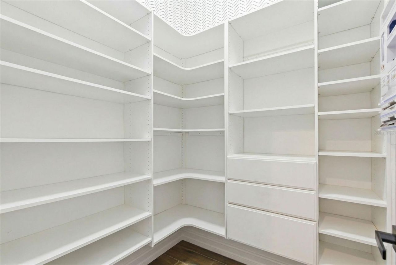 21251 Snowy Orchid Terrace, Land O Lakes, FL 34637 Photo