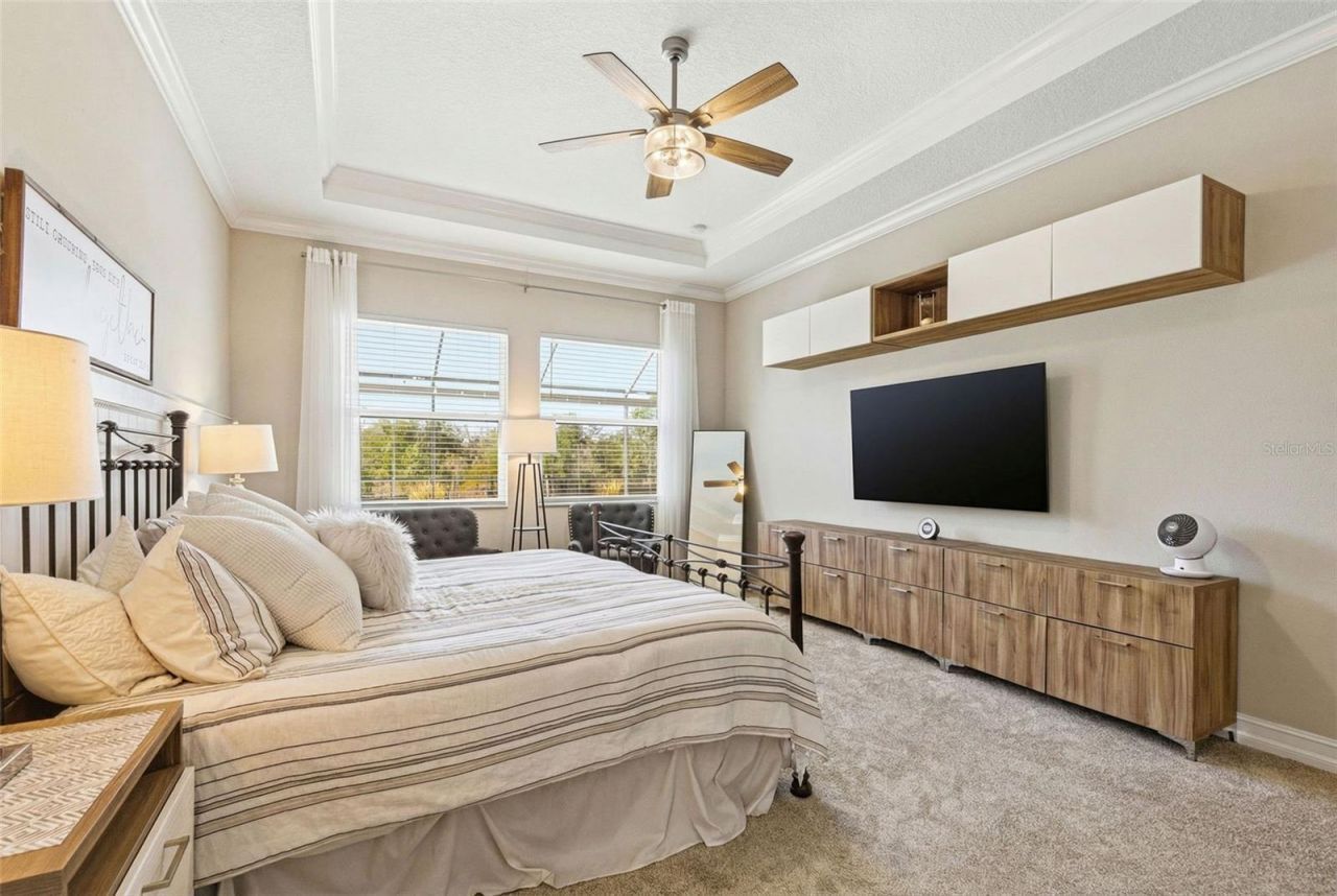 21251 Snowy Orchid Terrace, Land O Lakes, FL 34637 Photo