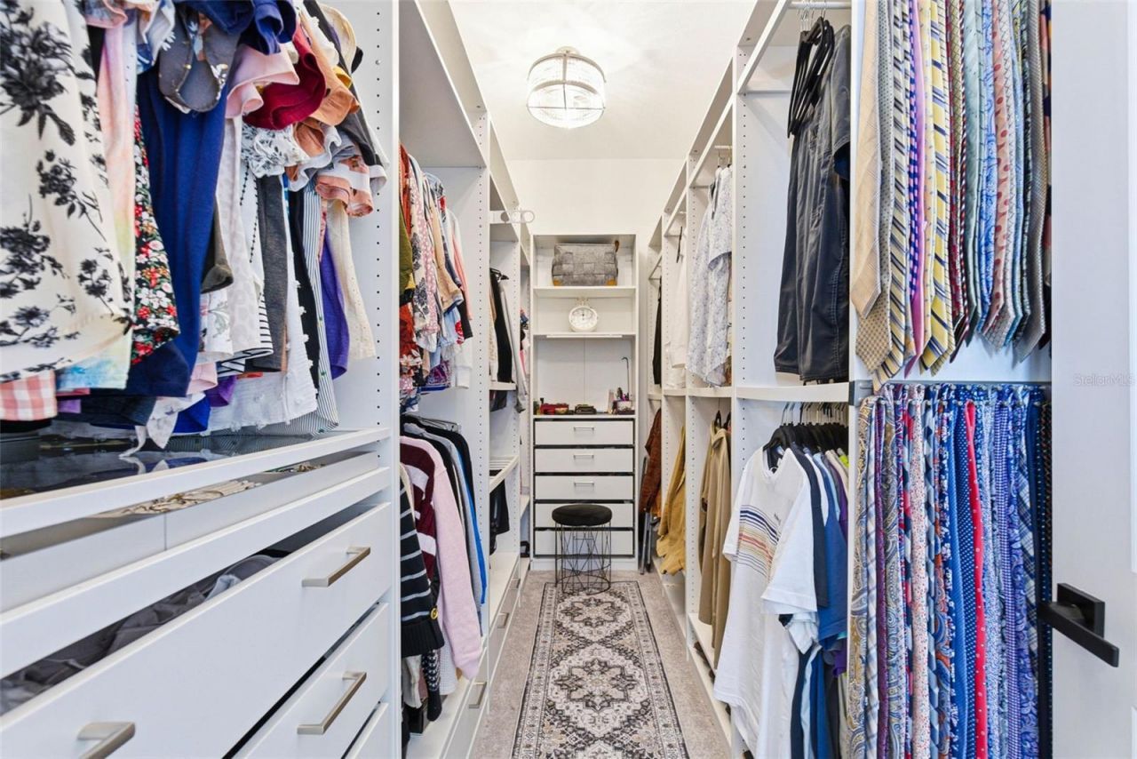 21251 Snowy Orchid Terrace, Land O Lakes, FL 34637 Photo