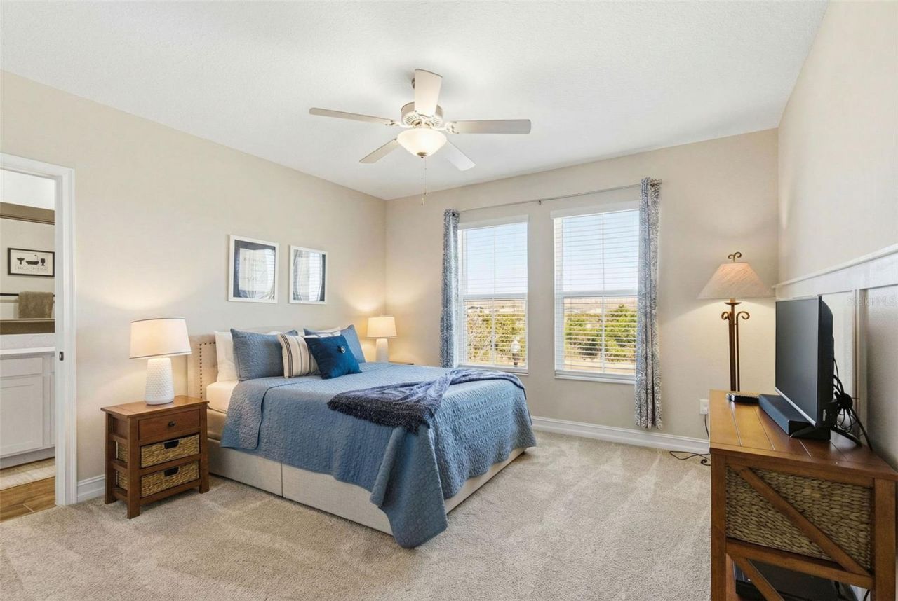 21251 Snowy Orchid Terrace, Land O Lakes, FL 34637 Photo