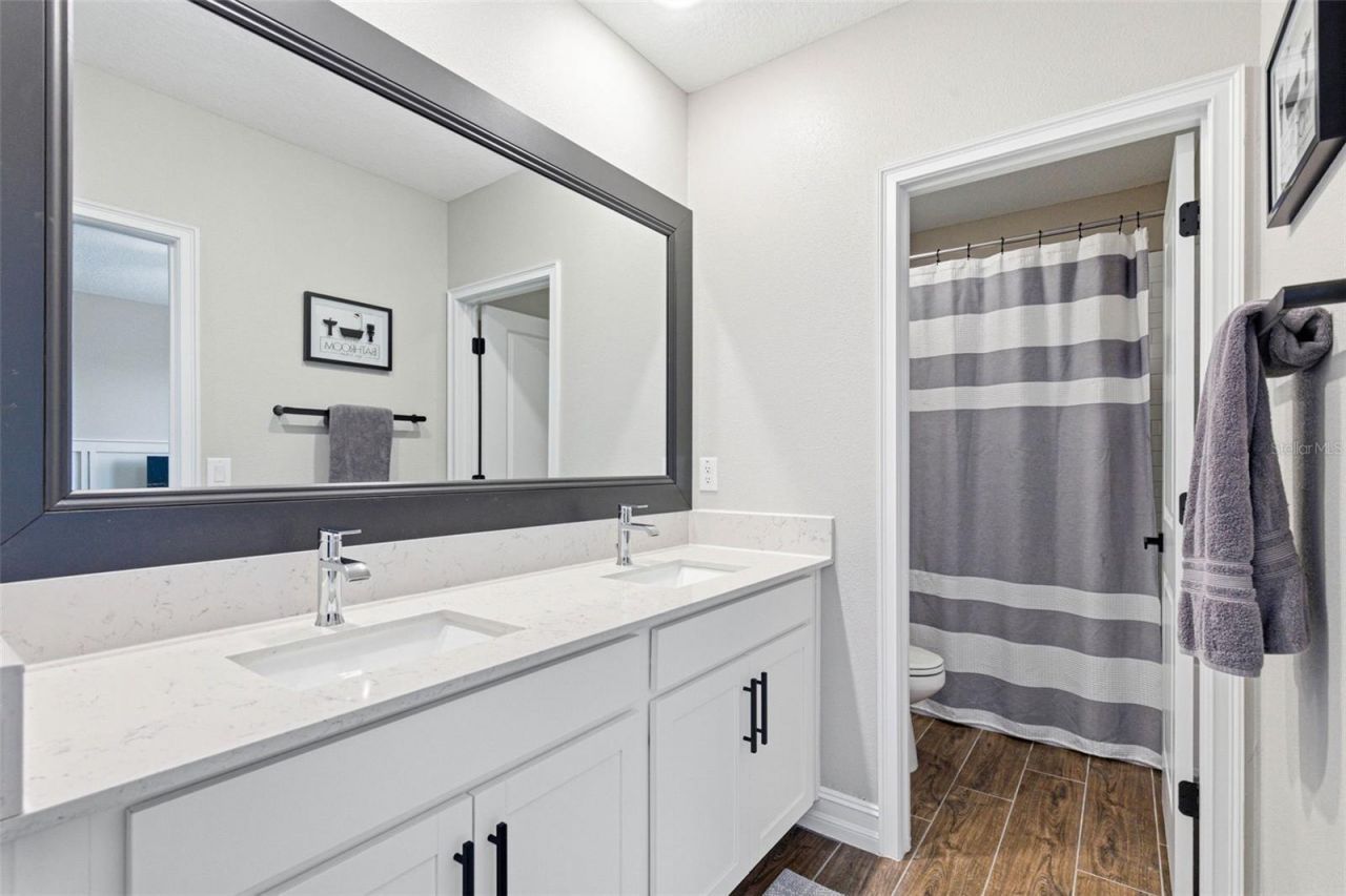 21251 Snowy Orchid Terrace, Land O Lakes, FL 34637 Photo