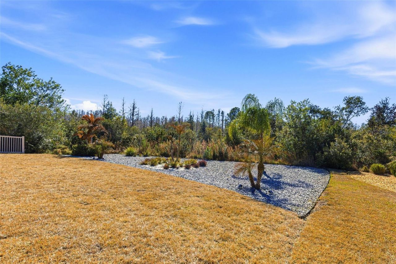 21251 Snowy Orchid Terrace, Land O Lakes, FL 34637 Photo