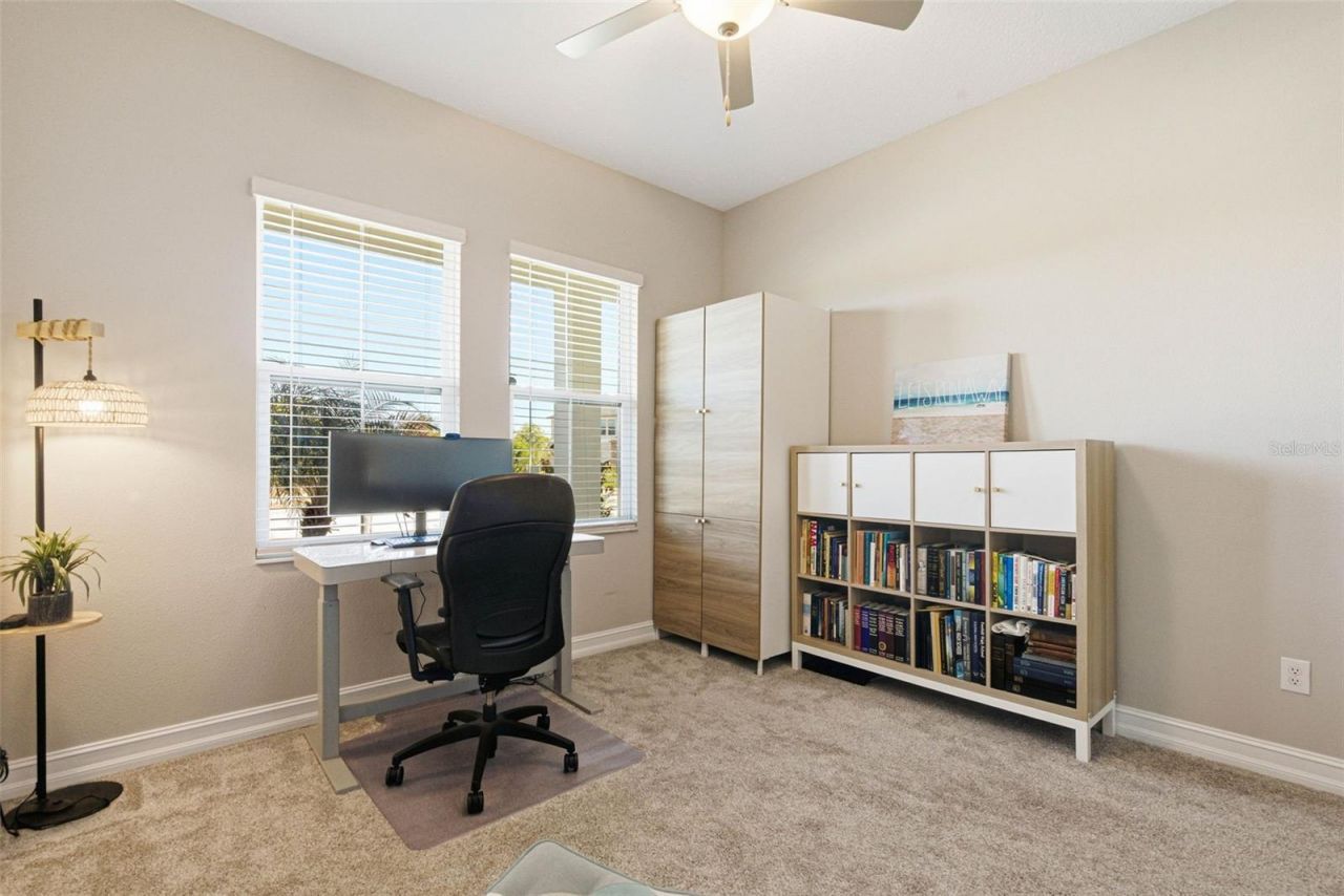 21251 Snowy Orchid Terrace, Land O Lakes, FL 34637 Photo