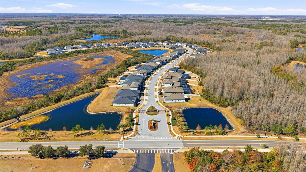 21251 Snowy Orchid Terrace, Land O Lakes, FL 34637 Photo