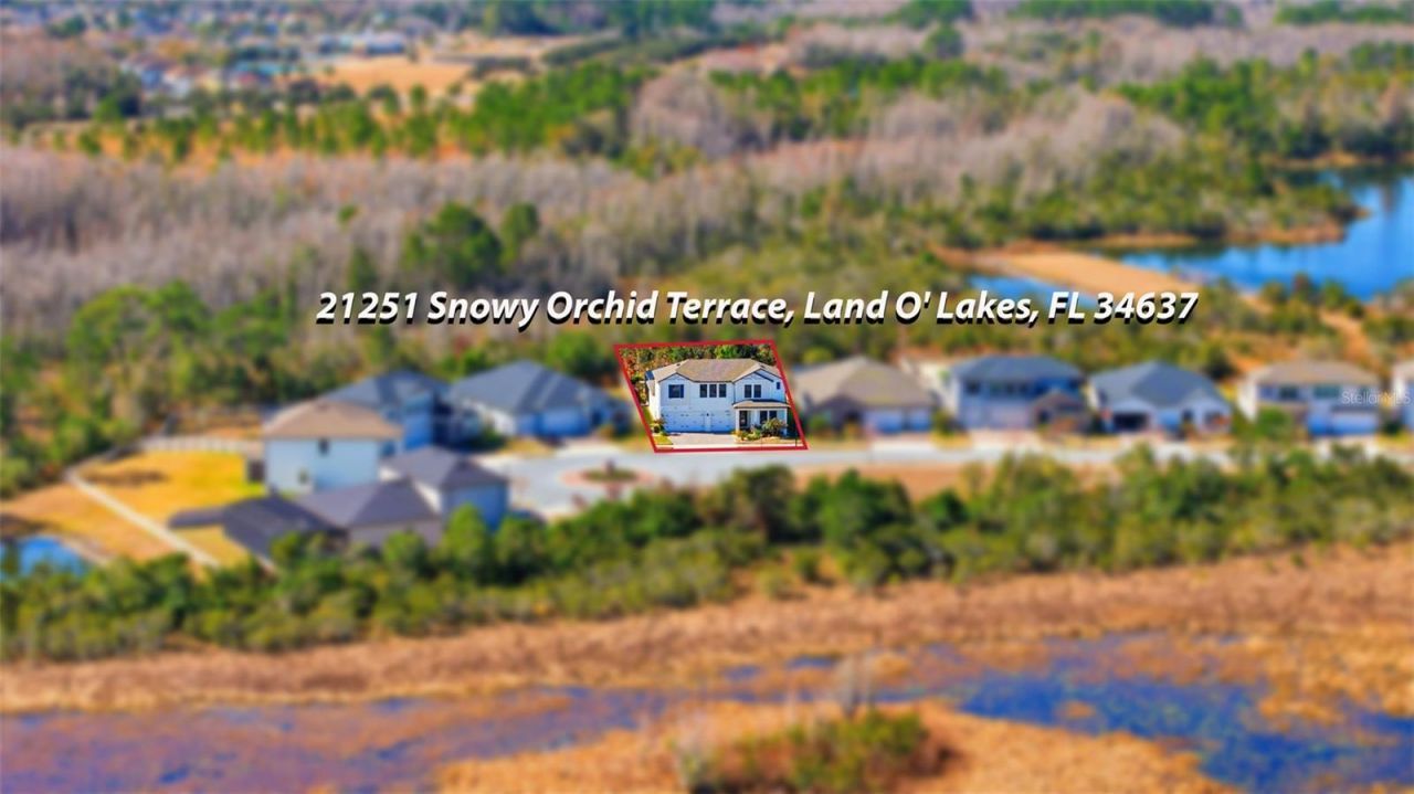 21251 Snowy Orchid Terrace, Land O Lakes, FL 34637 Photo