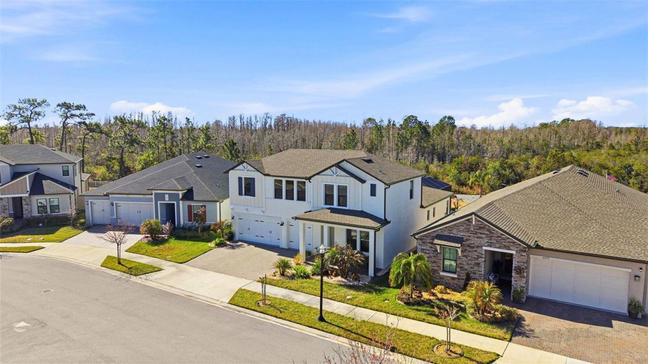 21251 Snowy Orchid Terrace, Land O Lakes, FL 34637 Photo