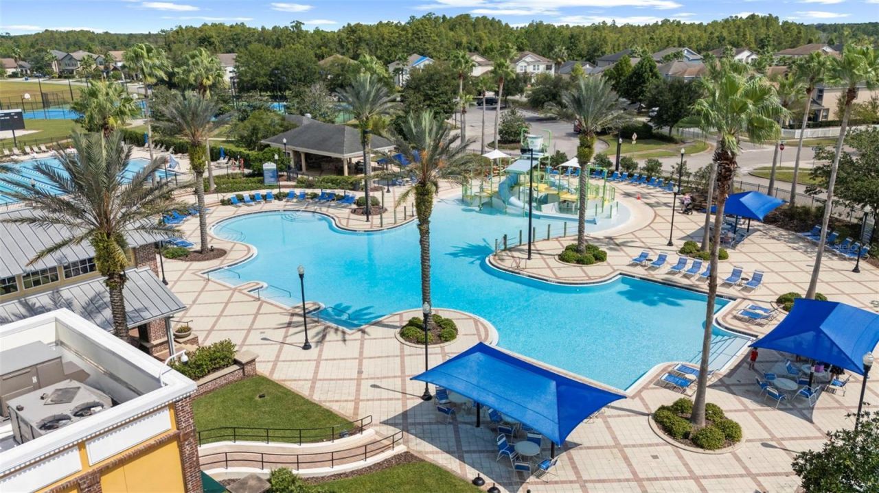 21251 Snowy Orchid Terrace, Land O Lakes, FL 34637 Photo