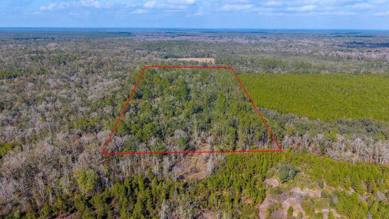 Tbd NE 25th Avenue, Branford, FL 32008 Photo